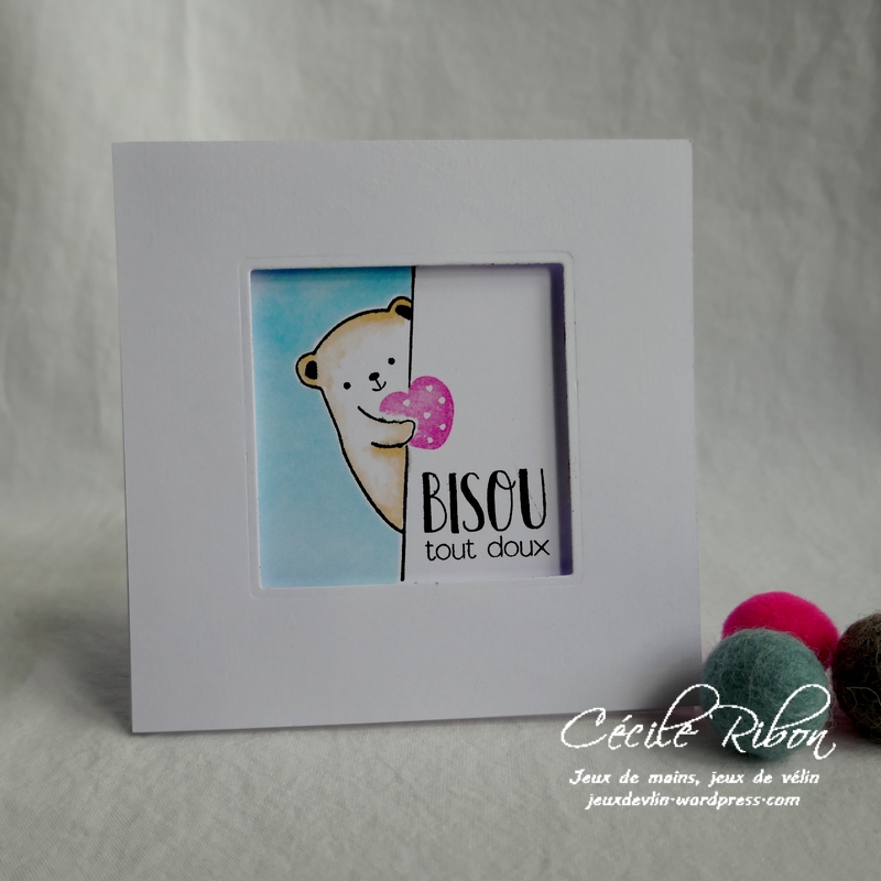 Carte CTD582 - P1150209