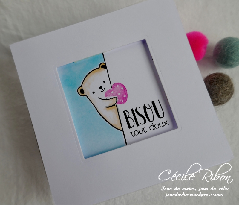 Carte CTD582 - P1150222