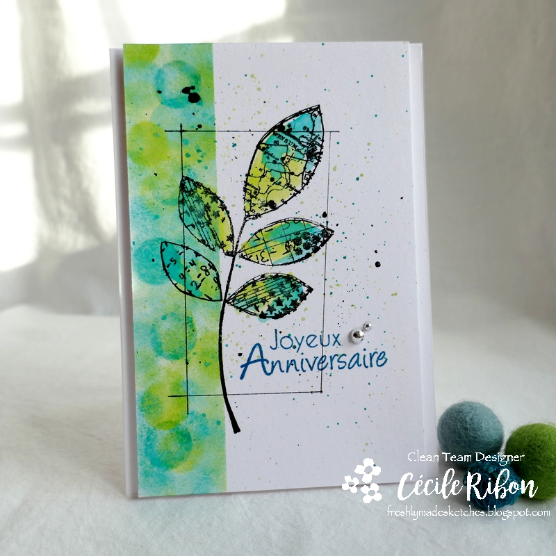 Carte FMS422 - P1140549