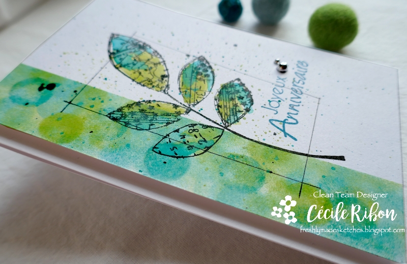 Carte FMS422 - P1140563