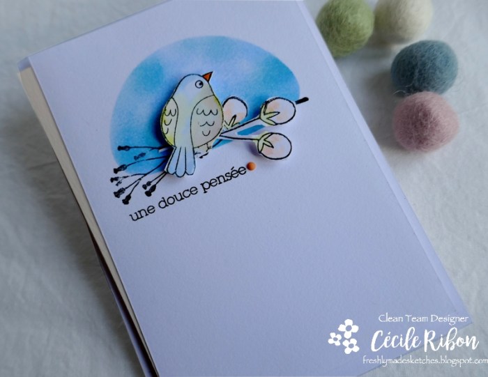 Carte FMS423 - P1140997