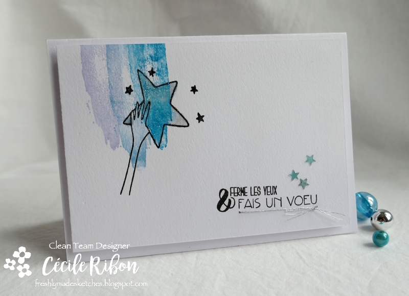 Carte FMS424 - P1150040