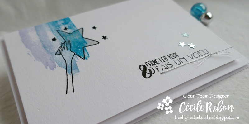 Carte FMS424 - P1150055