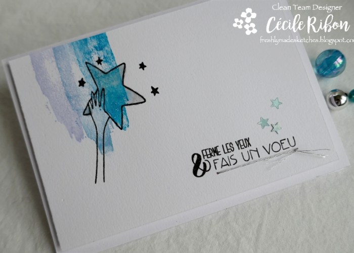 Carte FMS424 - P1150065