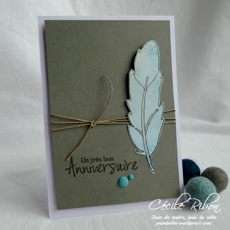 Carte FUSION55 - P1150290