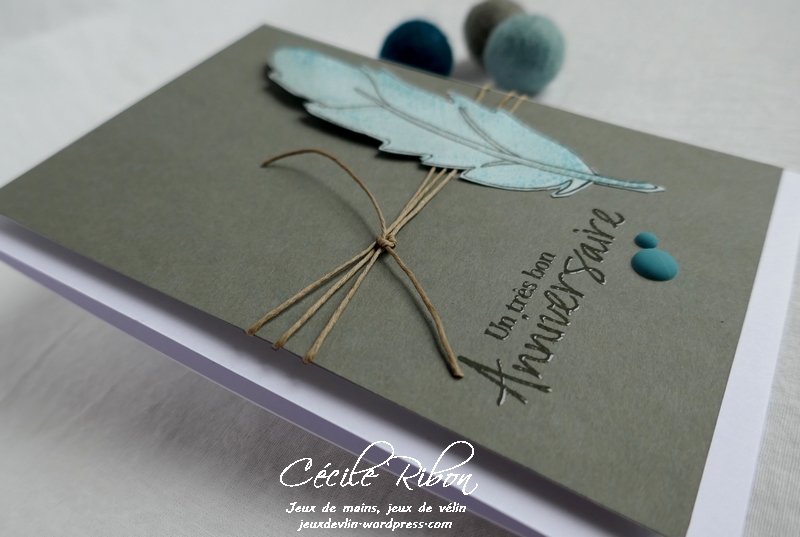 Carte FUSION55 - P1150305