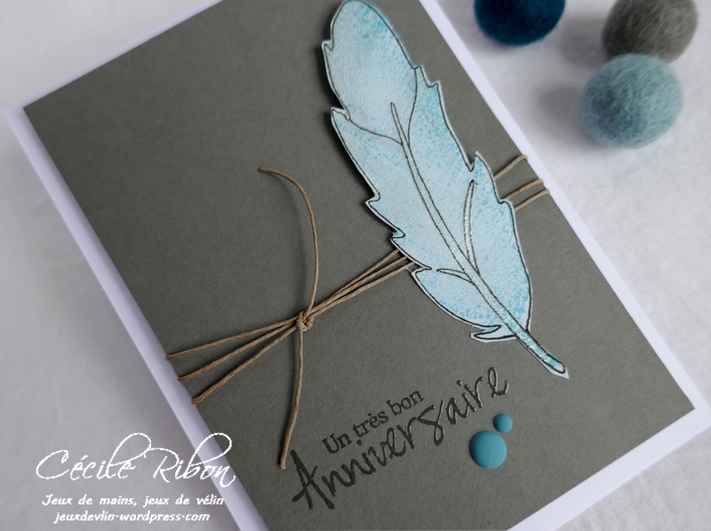 Carte FUSION55 - P1150319