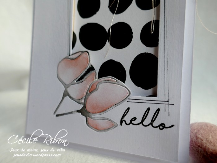 Carte JUGS525 - P1150242