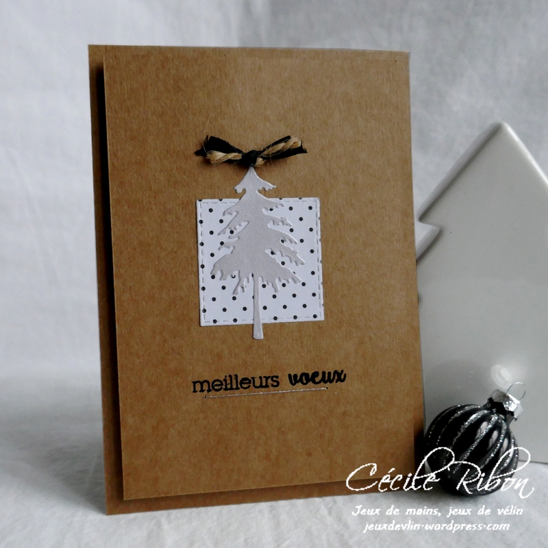 Carte Nat - P1120730