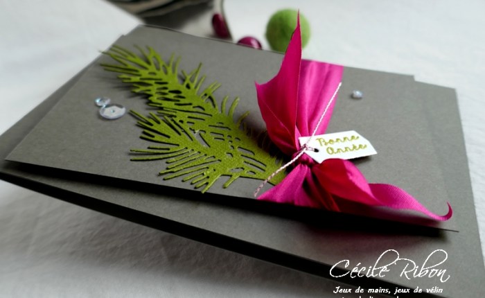 Des vœux en soie #1 – Rose&nbsp;fuchsia.