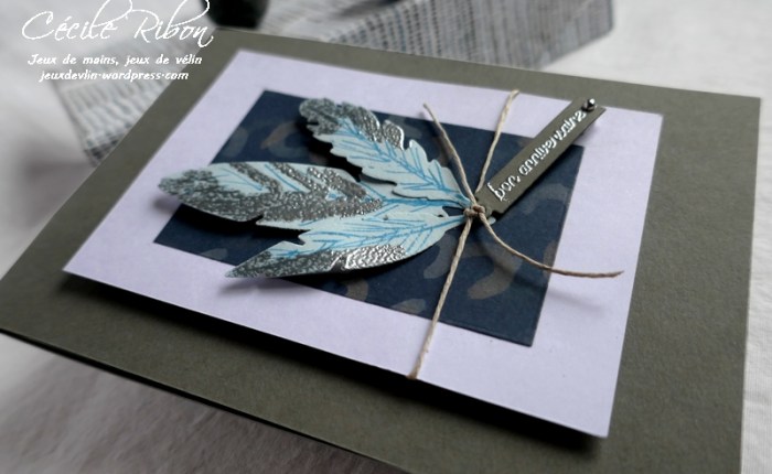 (Encore) une carte d’anniversaire masculine et (encore) des plumes