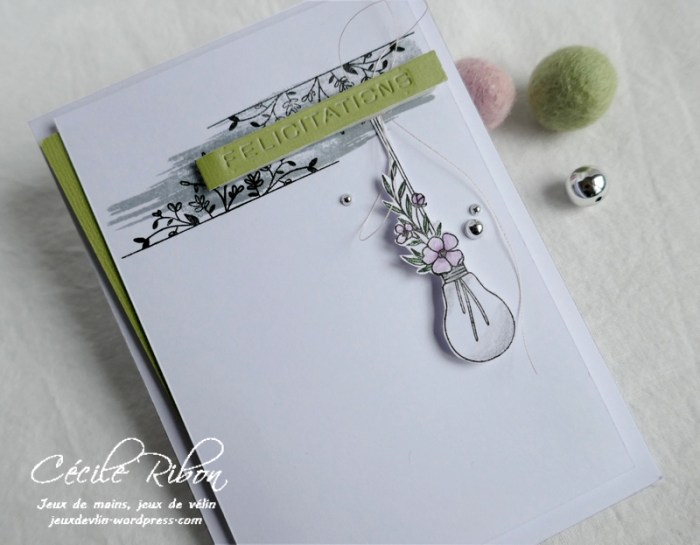 Carte CTS362 - P1150690