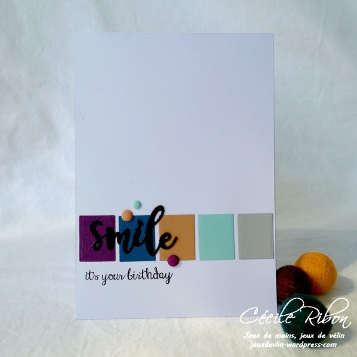 Carte CTS364 - P1150981