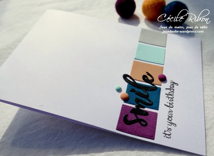 Carte CTS364 - P1150989