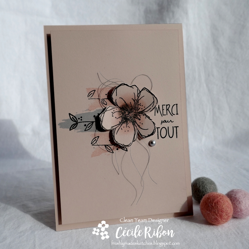 Carte FMS425 - P1150432