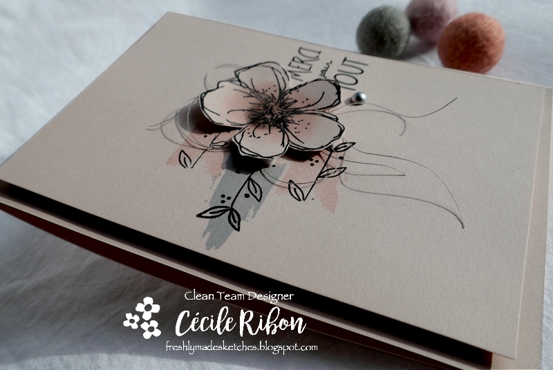 Carte FMS425 - P1150447