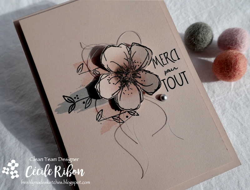 Carte FMS425 - P1150458