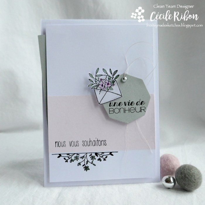 Carte FMS426 - P1150705