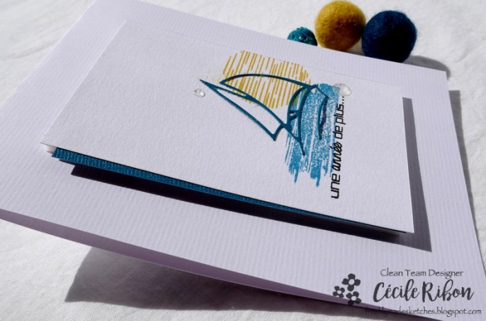 Carte FMS428 - P1150958