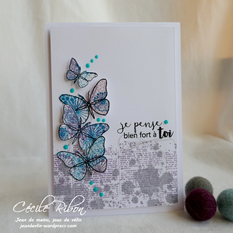 Carte FUSION56 - P1150760