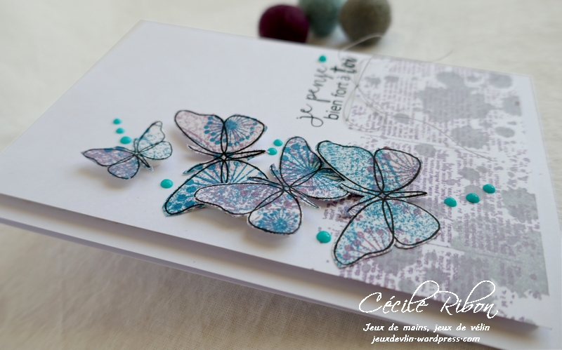 Carte FUSION56 - P1150775