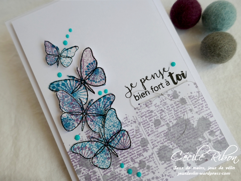 Carte FUSION56 - P1150779