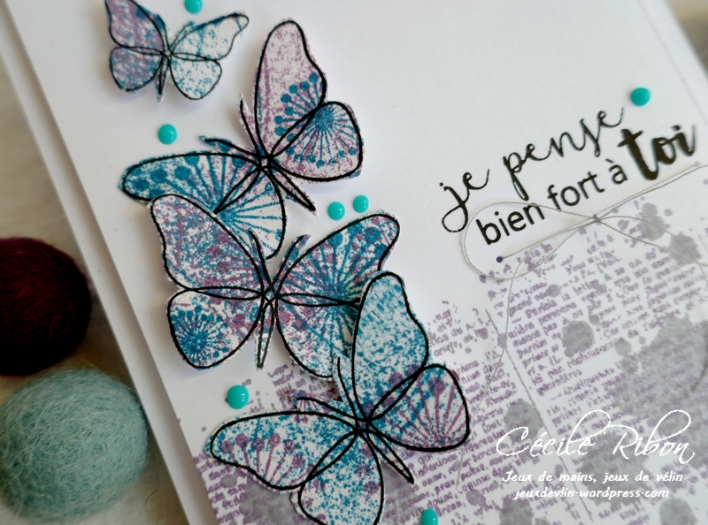 carte FUSION56 - P1150785