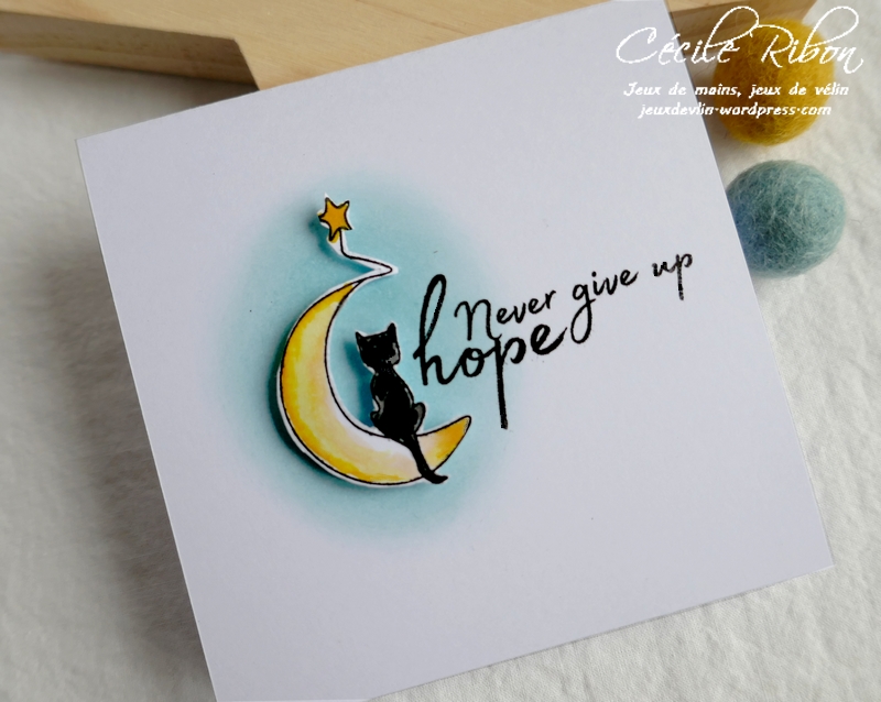 Carte JUGS526 - P1150521