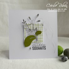 Carte LSComboMars - P1150538