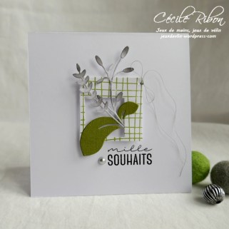 Carte LSComboMars - P1150538