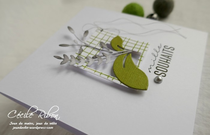 Carte LSComboMars - P1150550