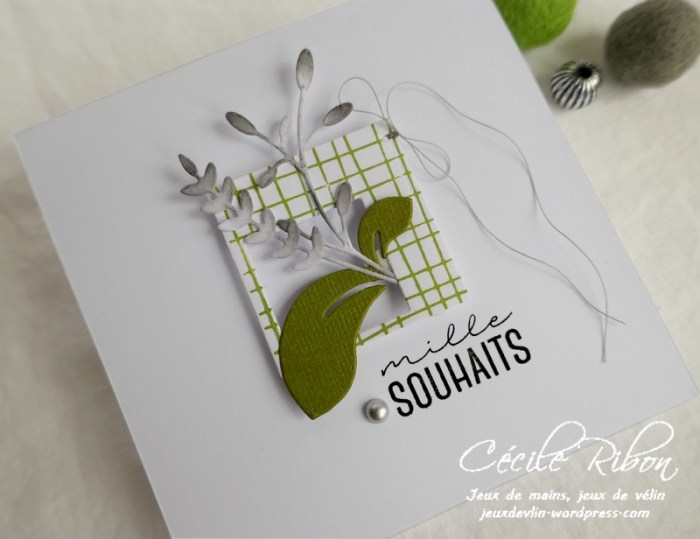 Carte LSComboMars - P1150558