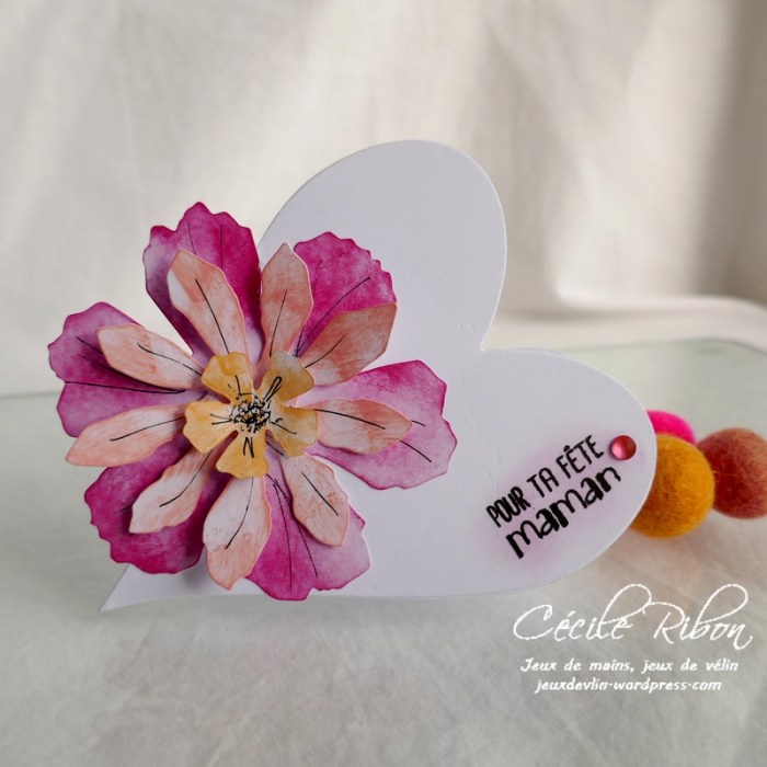 Carte CBBB30 - P1160956