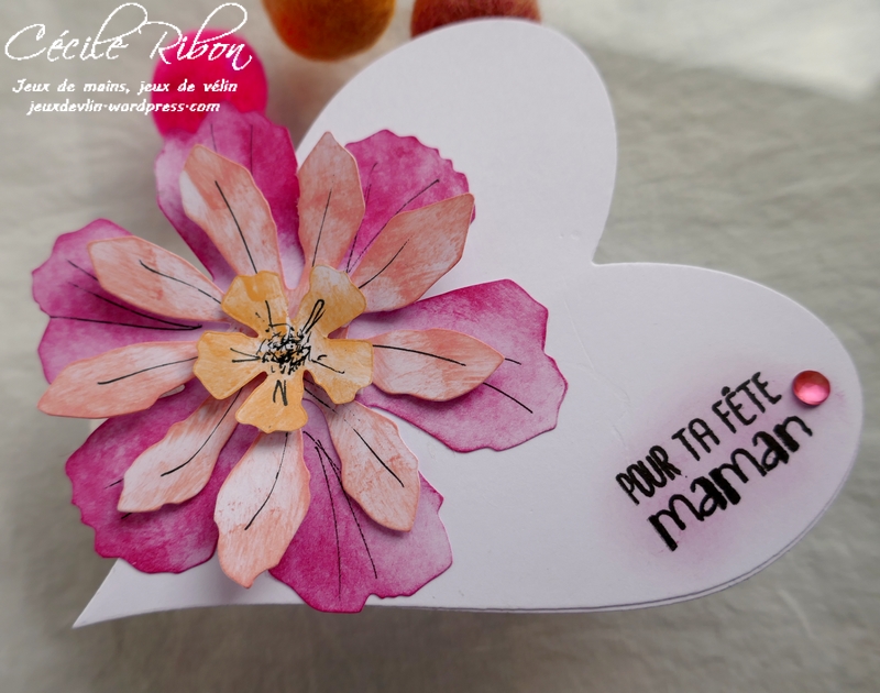 Carte CBBB30 - P1160988