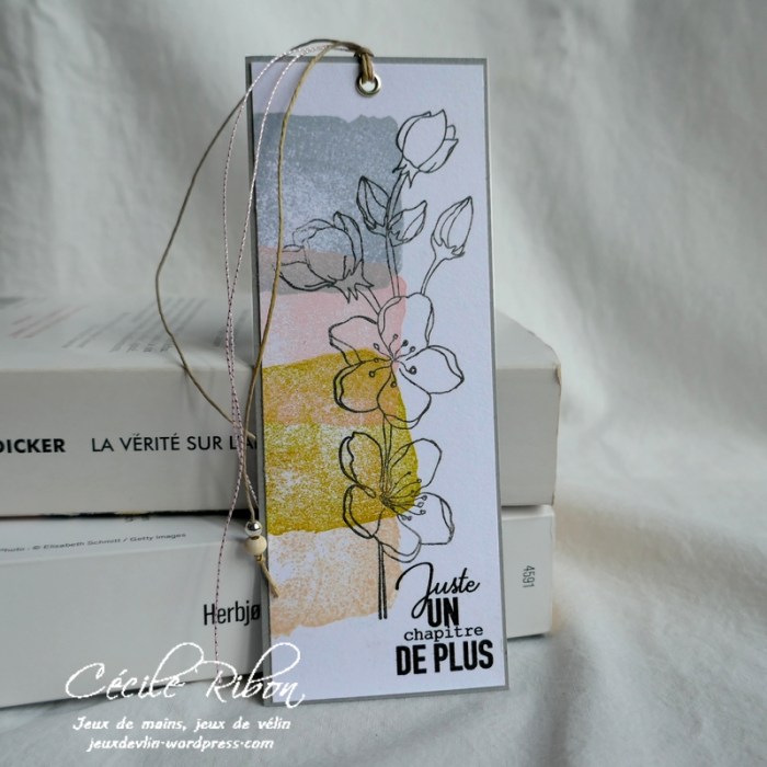 Carte CTD587 - P1160240