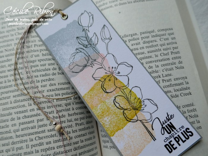 Carte CTD587 - P1160246