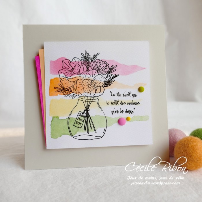 Carte CTD588 - P1160408