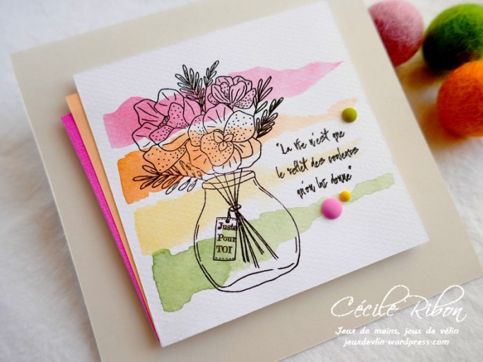 Carte CTD588 - P1160422