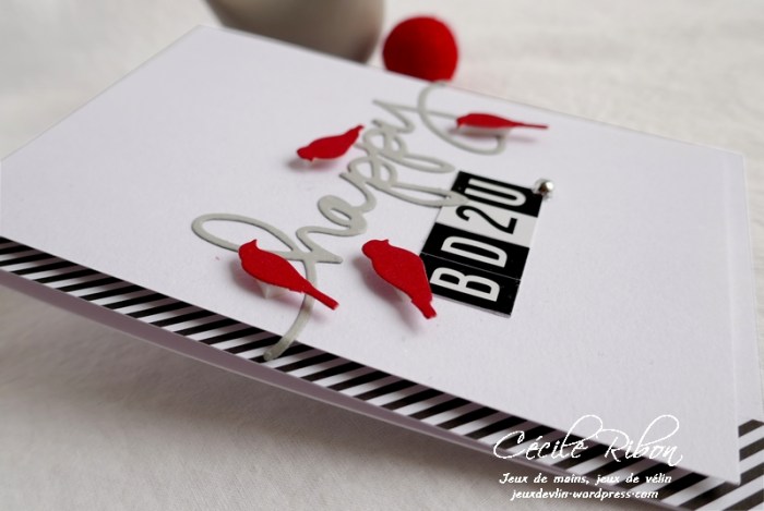 Carte CTD589 - P1160664