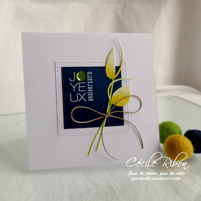 Carte CTD590 - P1160909