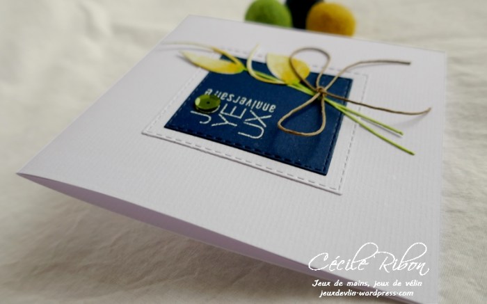 Carte CTD590 - P1160910