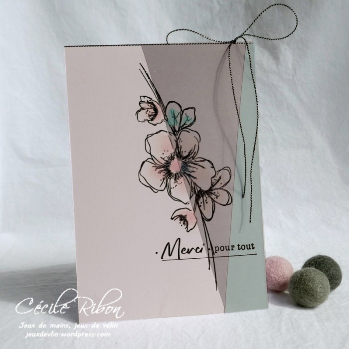 Carte CTS365 - P1160207