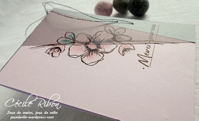 Carte CTS365 - P1160218