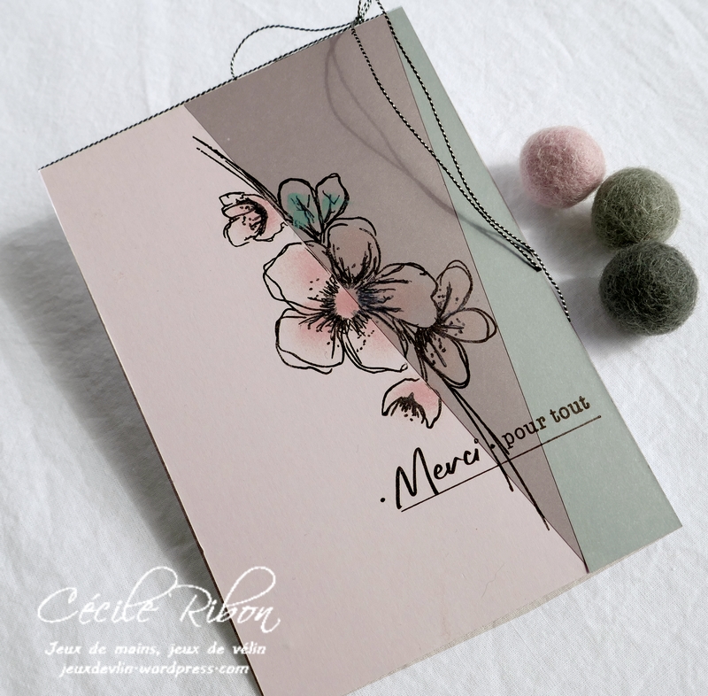 Carte CTS365 - P1160229