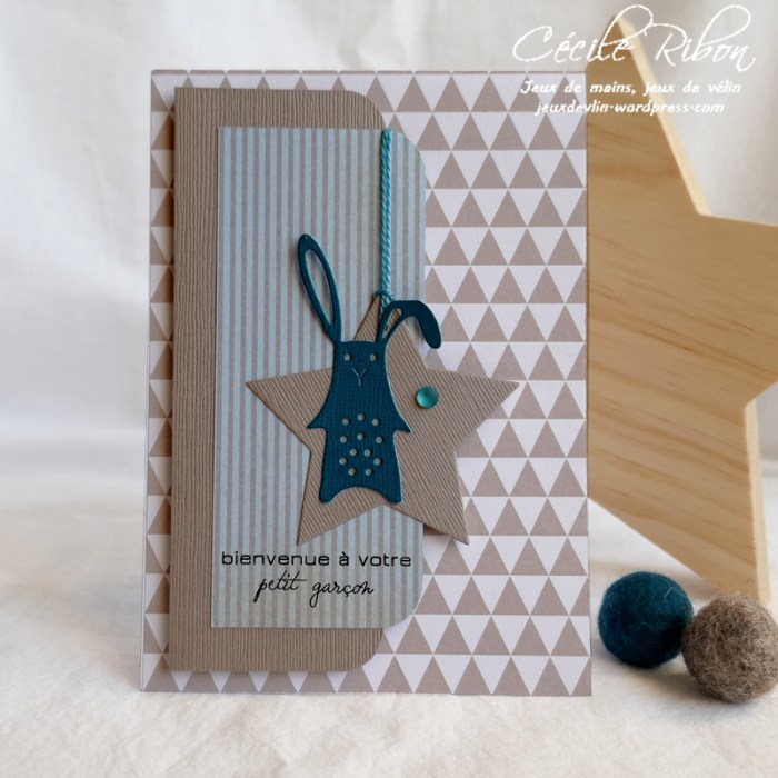 Carte CTS366 - P1160307