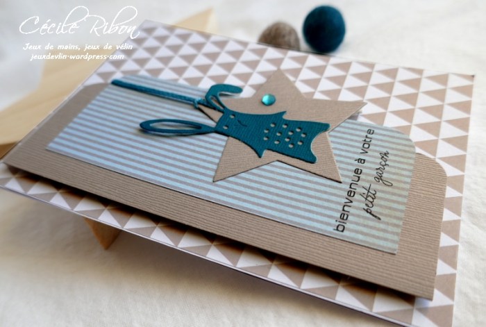 Carte CTS366 - P1160313