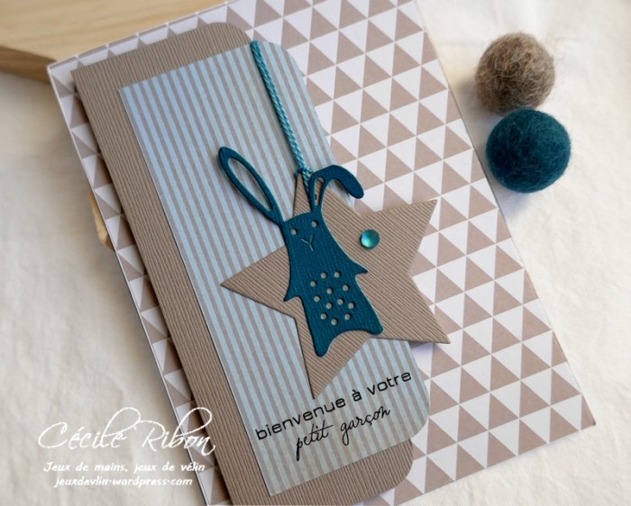 Carte CTS366 - P1160318