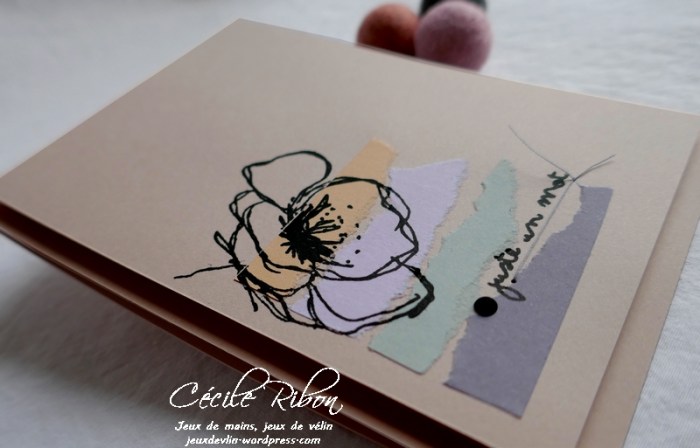 Carte CTS367 - P1160515