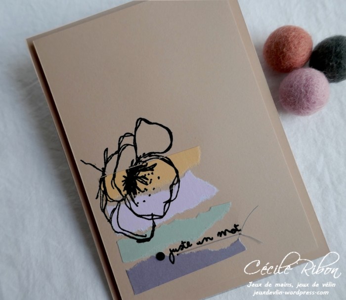 Carte CTS367 - P1160531