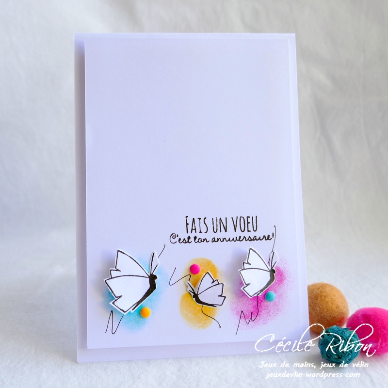 Carte CTS368 - P1160844